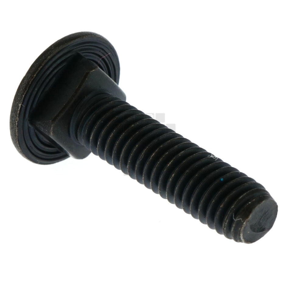 Dewalt 098128-85 Carriage Bolt, 6mm-1.00 x 25mm Left Hand