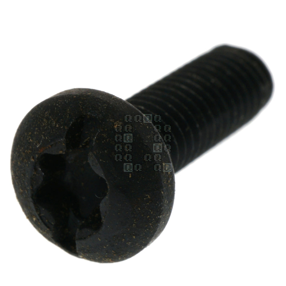 DeWALT 330045-14 Slotted TORX T25 Taptite Screw, M5 x 0.80