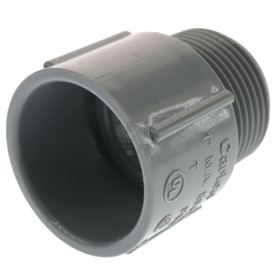 Carlon E943FR-CTN Schedule 40 Conduit Fitting Adapter, 1" Male NPT to  1" PVC